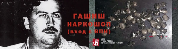 шишки Горняк