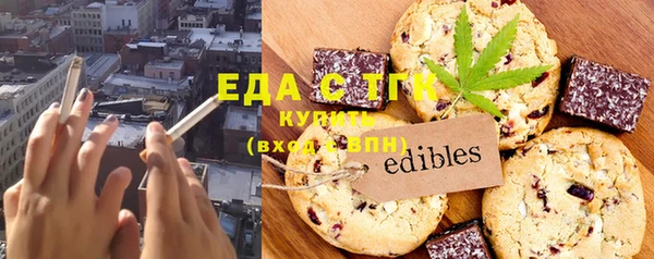 шишки Горняк