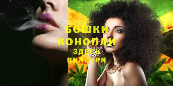 шишки Горняк